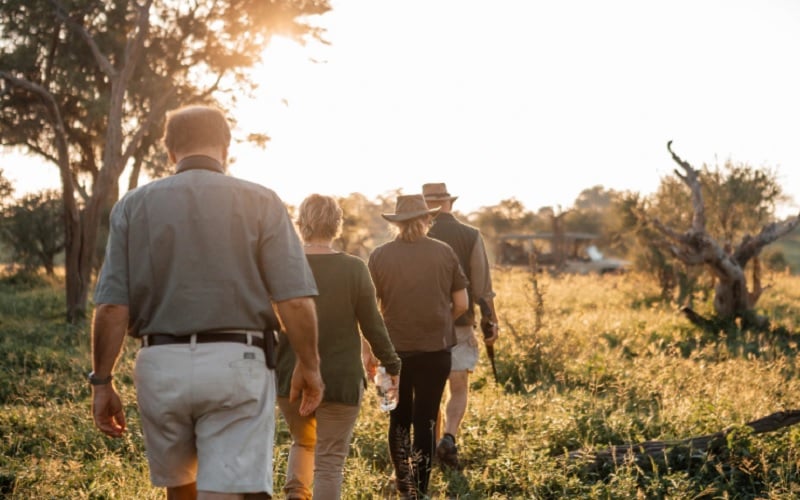 13 Days Best of Zimbabwe Safari Tour